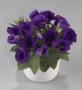 Seminte profesionale EUSTOMA - Lisianthus - imagine 48852